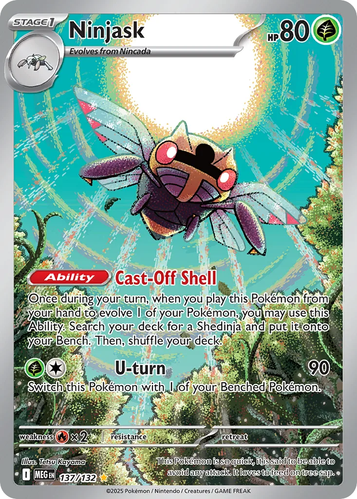 Ninjask